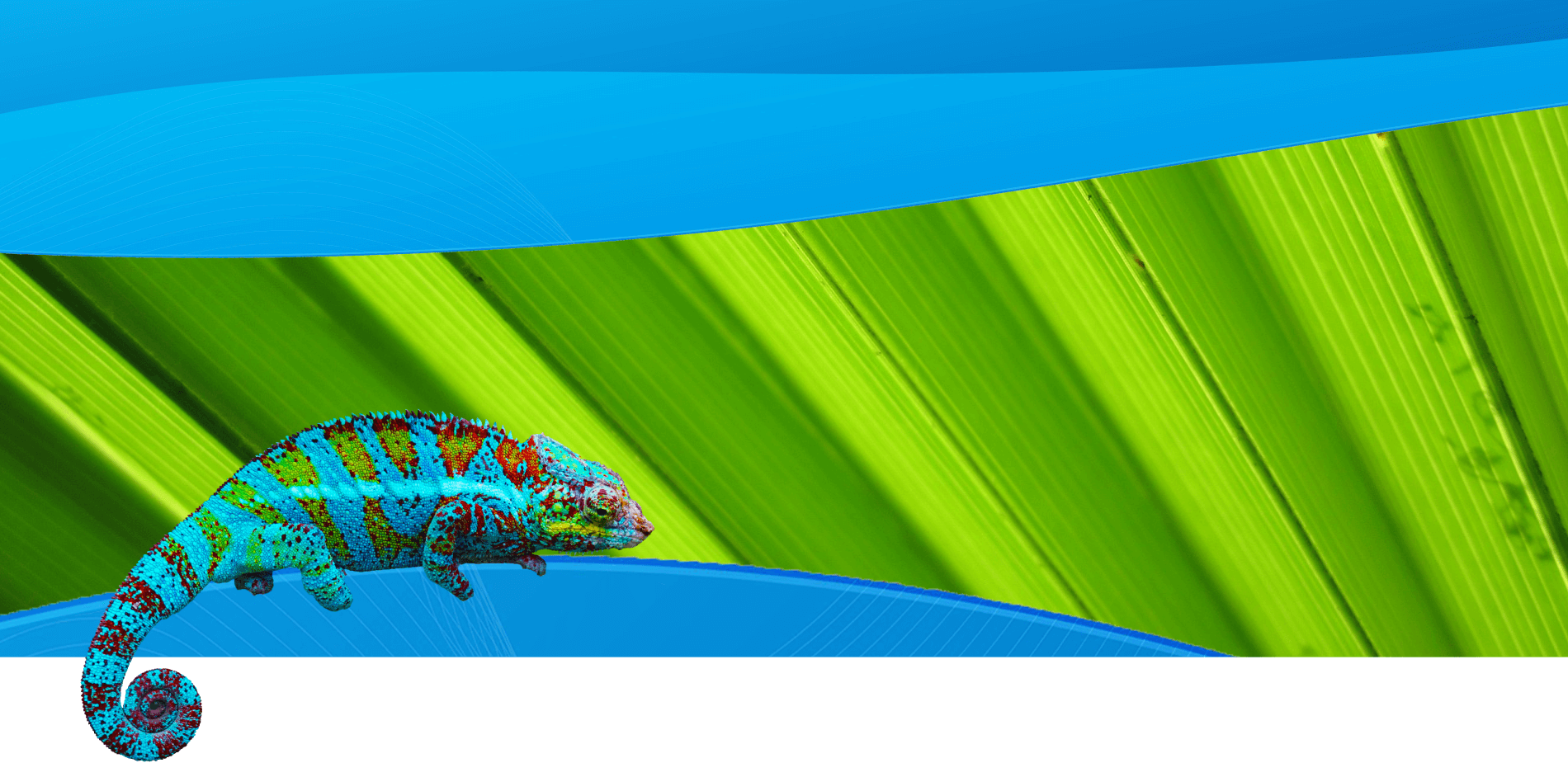 Vibrant conference backdrop featuring a colorful green lizard motif on tropical foliage, set against blue graphic banners with warm olive and cream tones